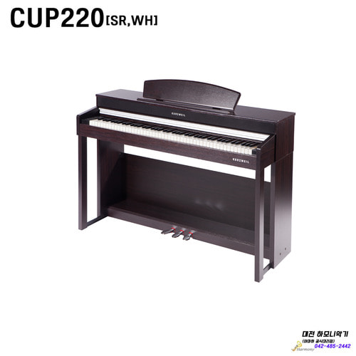 CUP220[SR,WH]/KURZWEIL/영창 디지털피아노/대전,세종